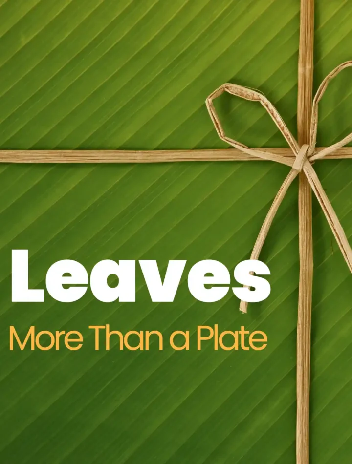 More Than a Plate: Why India Serves Food on Leaves 1 leaves - more than a plate
